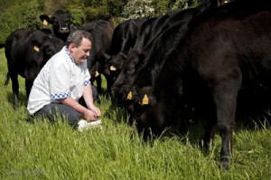 Pat Whelan's Wagyu Herd