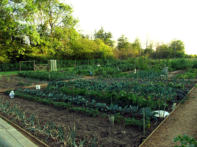 allotment